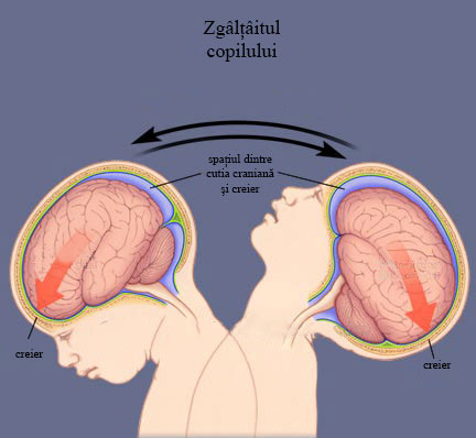 copil zgiltiit3